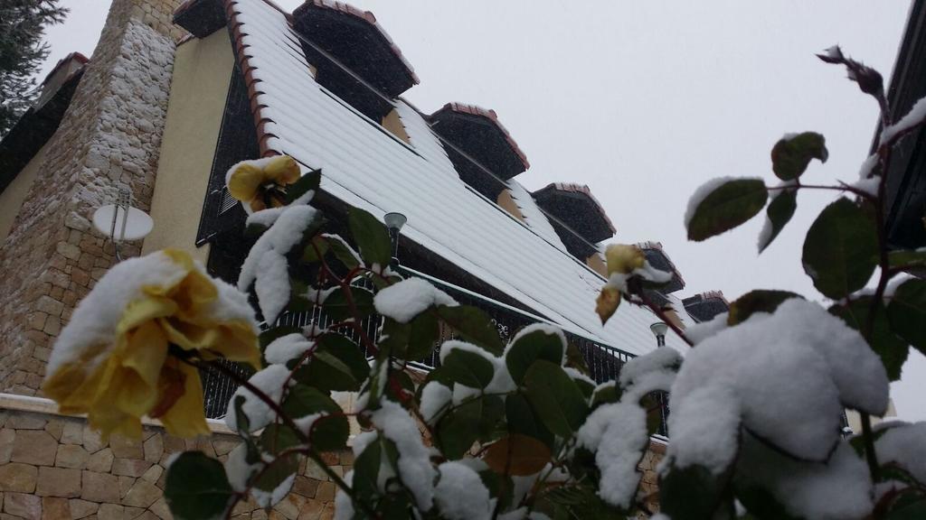 Hotel Vegasierra Bogarra ภายนอก รูปภาพ
